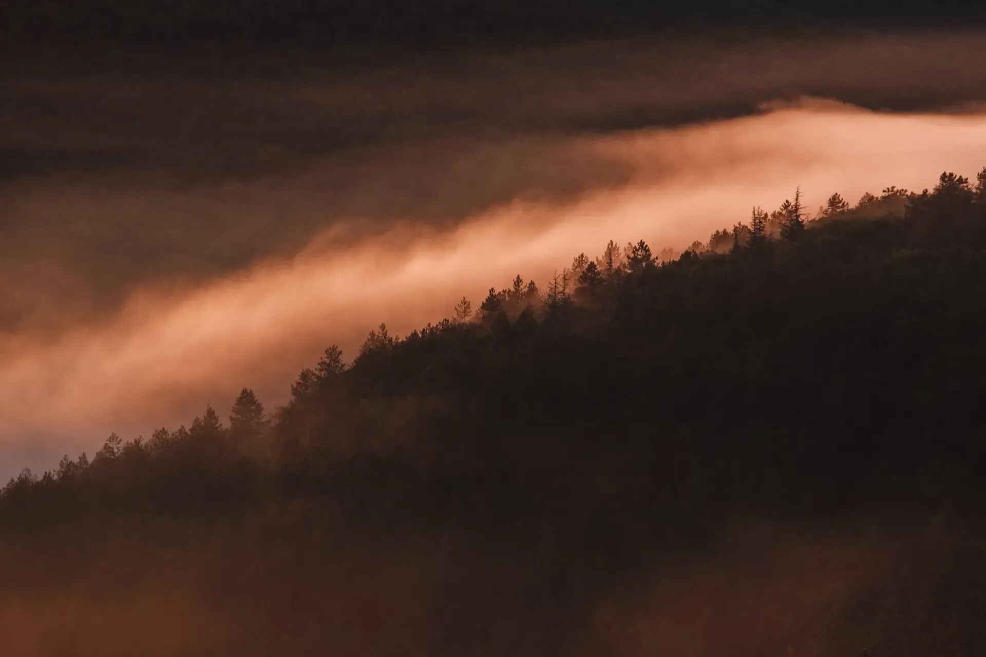 Paysage du Lot — brume sur la forêt au lever du soleil